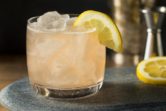Fitzgerald Cocktail Closeup Gin and Lemon