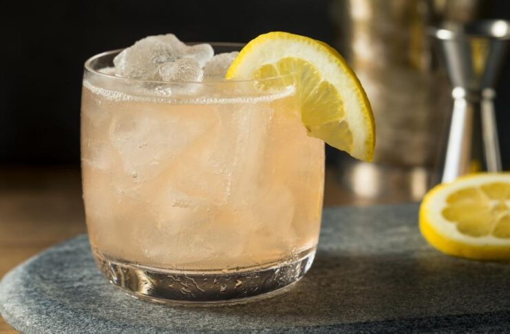 Fitzgerald Cocktail Closeup Gin and Lemon