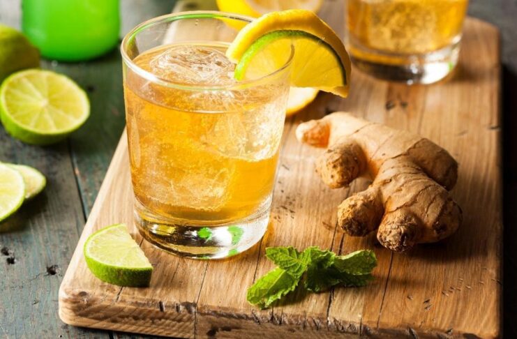 Ginger Ale and Ginger Beer Mixer Cocktail Vodka