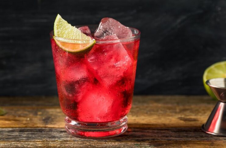 Vodka Cranberry Juice Drink Cocktail Mixer