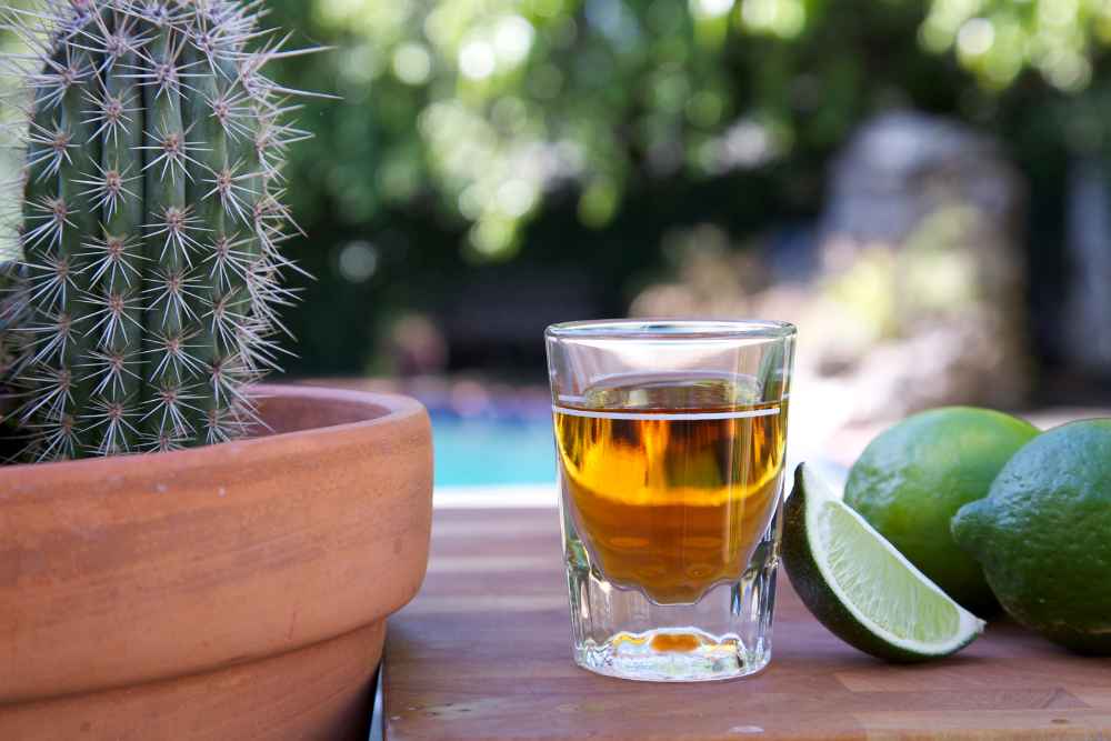 Shot of Casamigos Tequila Outside with Limes and Cactus by Pool