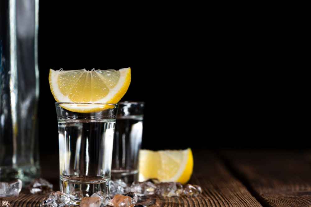 Vodka Drink with Lemon