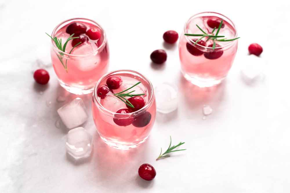 Vodka with Cranberries Cocktail