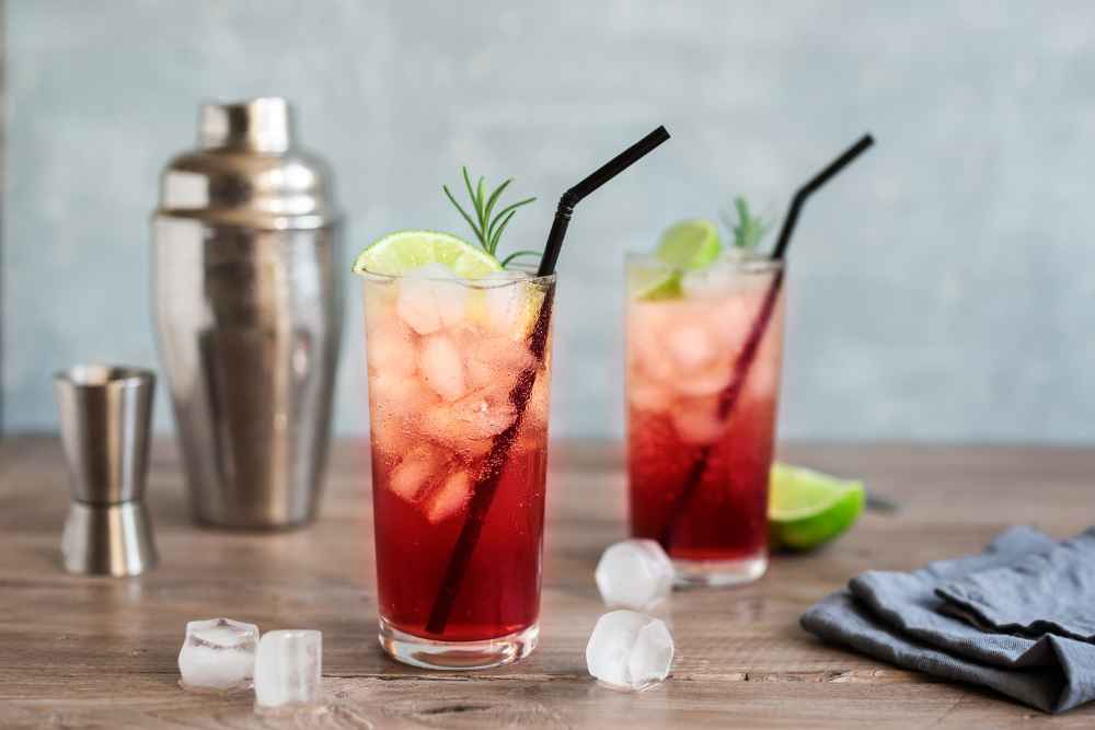 Cocktails Made With Sloe Gin Liqueur