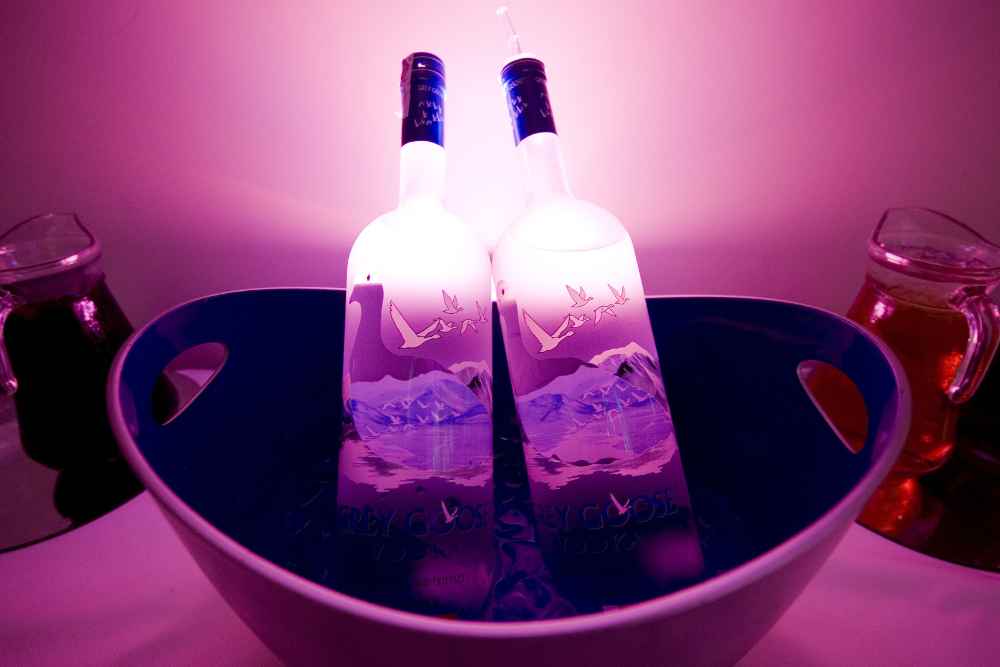 What Proof Is Grey Goose Vodka - Two Bottles of Grey Goose Vodka in Ice