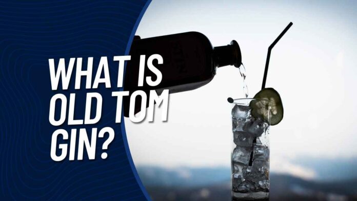 What is Old Tom Gin