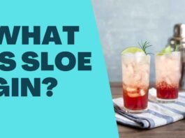 What is Sloe Gin