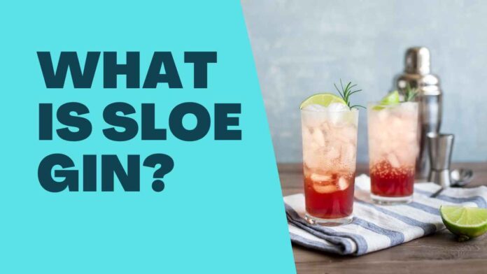 What is Sloe Gin