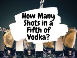 How Many Shots in a Fifth of Vodka