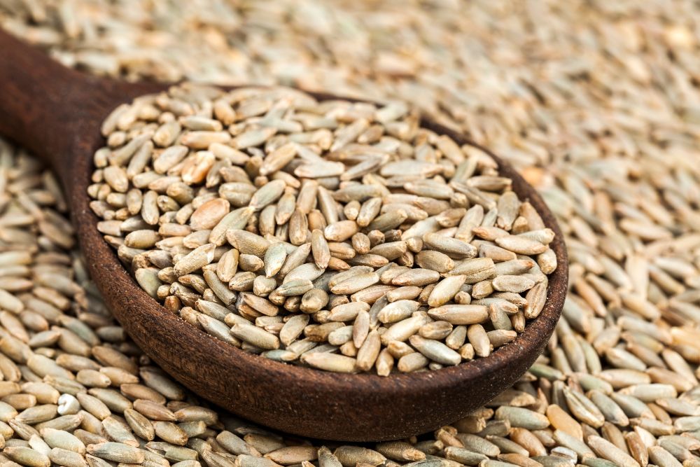 Rye Grains for Making Whiskey