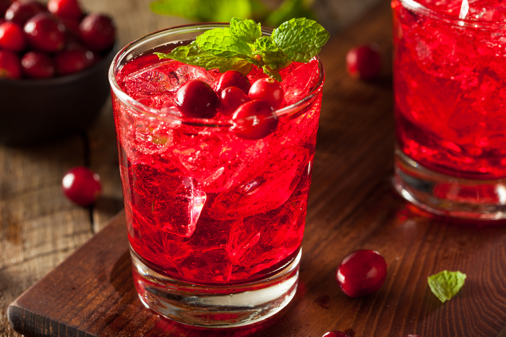 Vodka and Cranberry Juice Drink with Mint Garnish