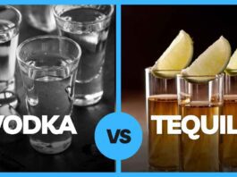 Vodka vs Tequila - What's The Difference Guide