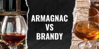 Armagnac vs Brandy Differences Guide