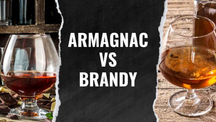 Armagnac vs Brandy Differences Guide