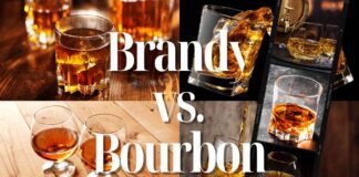 Brandy VS Bourbon Whiskey Differences
