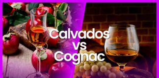 Calvados vs. Cognac
