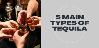 5 Main Types of Tequila