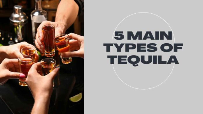 5 Main Types of Tequila