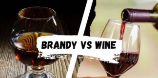Brandy Vs Wine