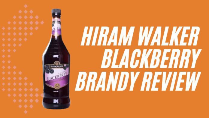 Hiram Walker Blackberry Brandy Reviews