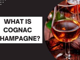 What Is Cognac Champagne
